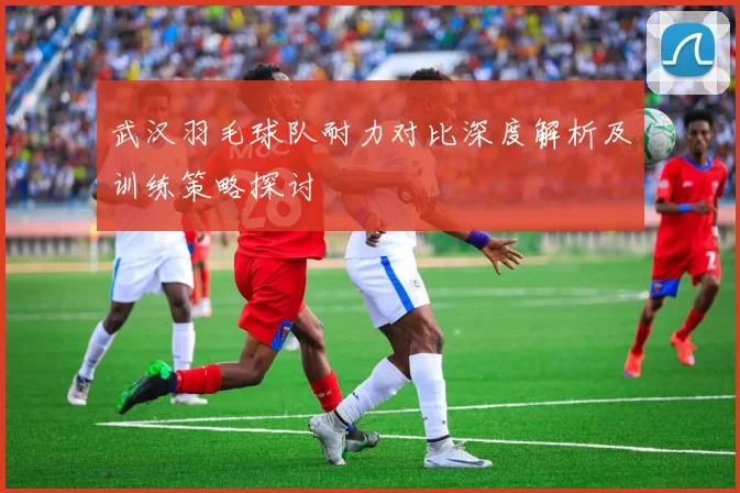 武汉羽毛球队耐力对比深度解析及训练策略探讨