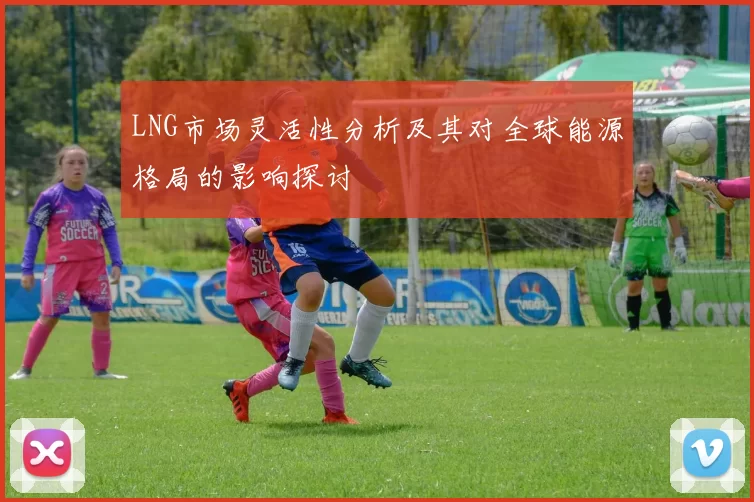 LNG市场灵活性分析及其对全球能源格局的影响探讨