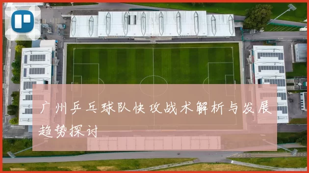 广州乒乓球队快攻战术解析与发展趋势探讨